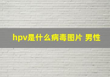 hpv是什么病毒图片 男性